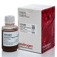 65604D Dynabeads MyOne 链霉亲和素 T1 50ml 现货