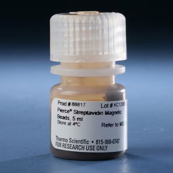88817 Pierce™ 链霉素亲和素包被磁珠 5ml 现货 Pierce Streptavidin Magnetic Beads