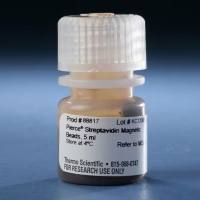 88817 Pierce™ 链霉素亲和素包被磁珠 5ml 现货 Pierce Streptavidin Magnetic Beads