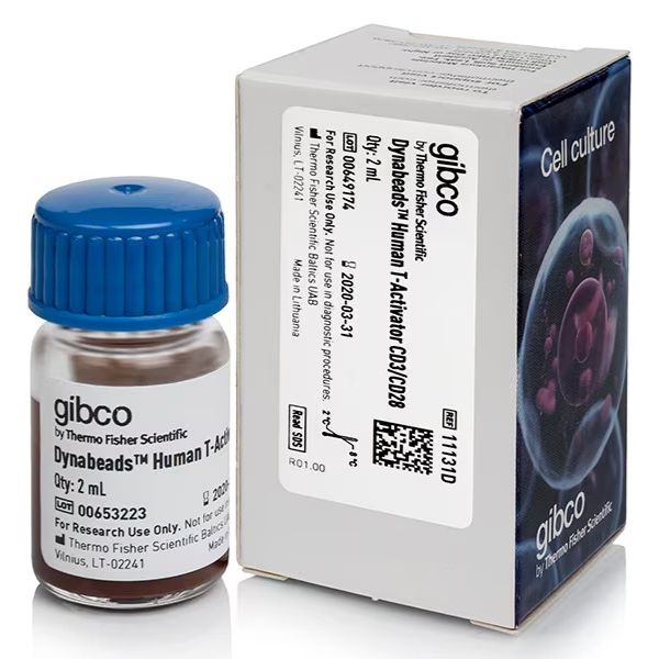 11131D T 细胞扩增和活化的 Dynabeads™ 人 T 活化剂 CD3/CD28  现货 2ml