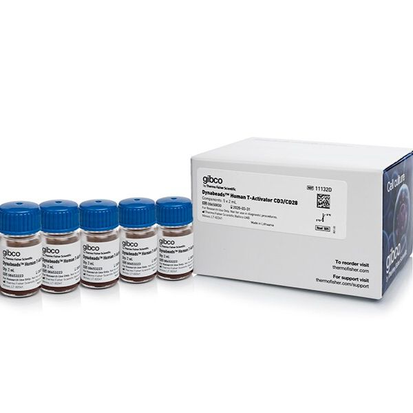 11132D T 细胞扩增和活化的 Dynabeads™ 人 T 活化剂 CD3/CD28 5*2ml 现货