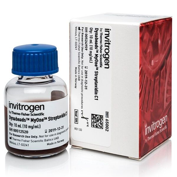 65002 Dynabeads MyOne Streptavidin C1 10ml现货