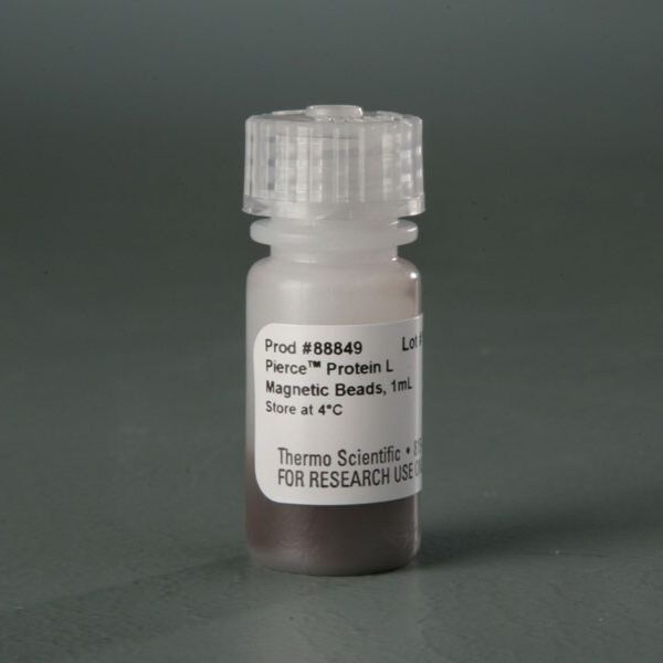 88849/88850 Pierce ™ 蛋白 L 磁珠 1ml/5ml  Pierce Protein L Magnetic Beads