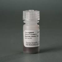88849/88850 Pierce ™ 蛋白 L 磁珠 1ml/5ml Pierce Protein L Magnetic Beads
