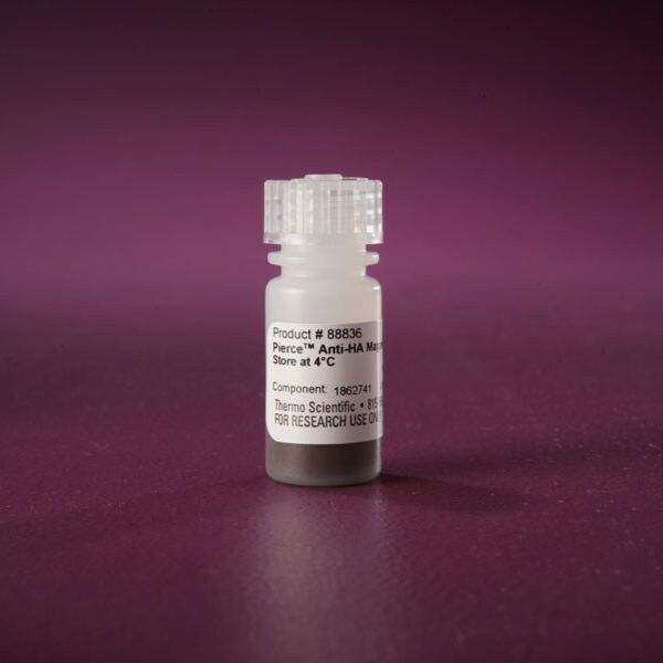 88836/88837  Pierce抗HA磁珠  Pierce Anti-HA Magnetic Beads