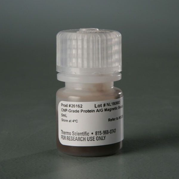 26162 Pierce™ ChIP 级蛋白 A/G 磁珠 5ml