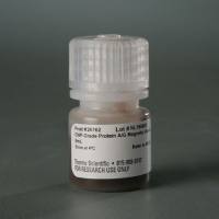 26162  Pierce™ ChIP 级蛋白 A/G 磁珠  5ml