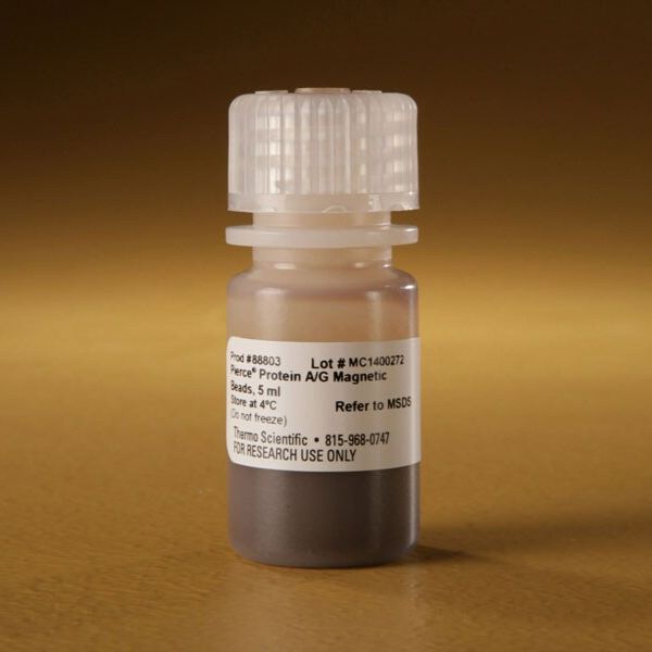 88803 Pierce™ Protein A/G Magnetic Beads 5ml 现货 Pierce™ 蛋白 A/G 磁珠