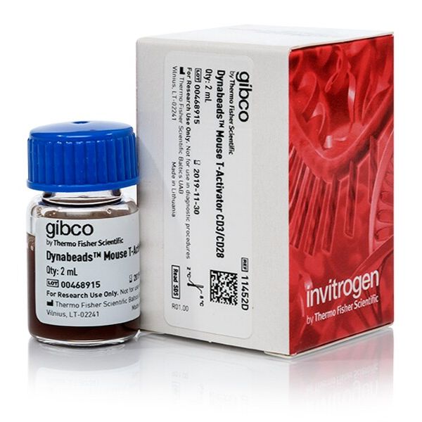 11452D T 细胞活化/扩增的 Dynabeads™ 小鼠T活化剂CD3/CD28 2ml 现货