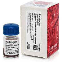 65605D 靶标富集SA链霉亲和素磁珠 2ml 现货