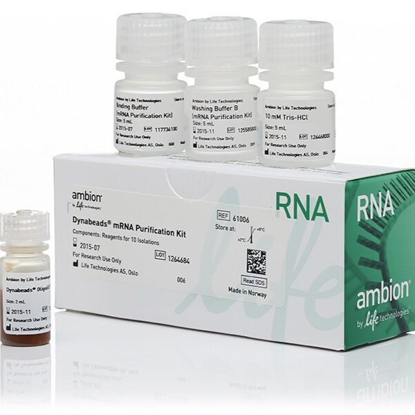 61006  Dynabeads™ mRNA 纯化试剂盒（用于从总 RNA 制备液中纯化 mRNA）