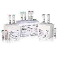 4482910  Quantifiler™ Trio DNA 定量试剂盒 400 reactions