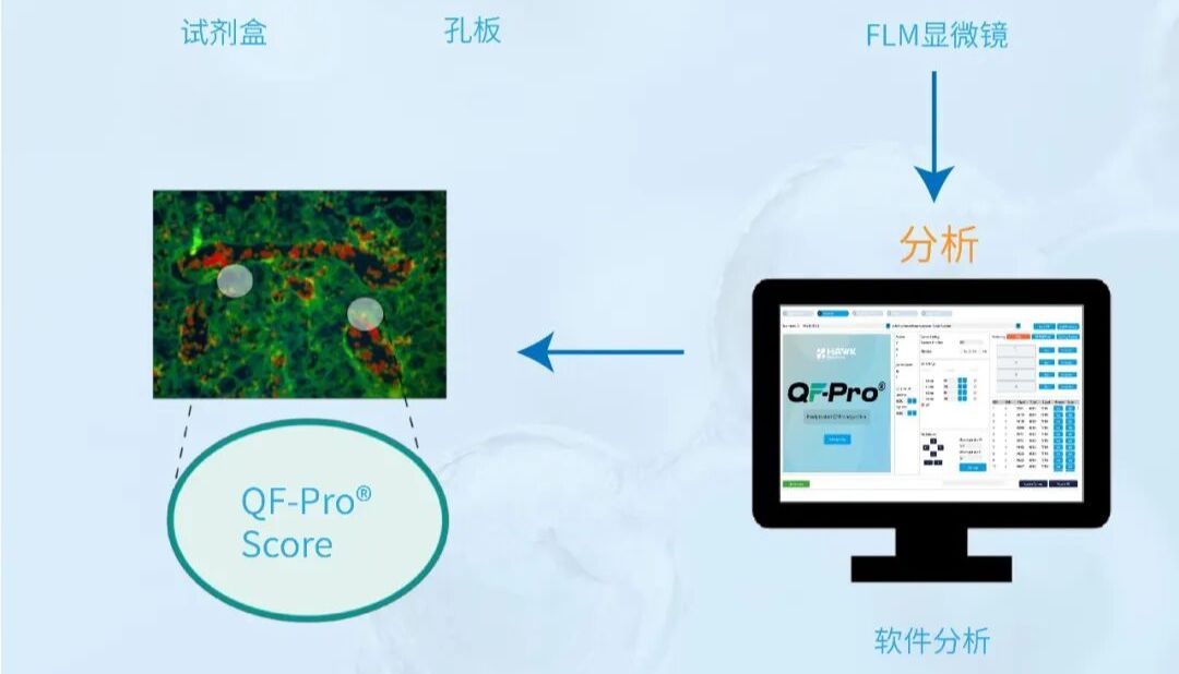 Hawk原位蛋白相互作用功能定量分析平台联合CyTOF用于肿瘤免疫研究