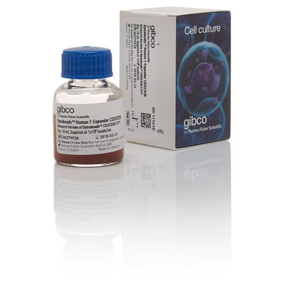 货号 11141D  Dynabeads™ Human T-Expander CD3/CD28  10ml  T细胞扩增磁珠