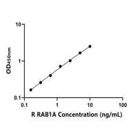 大鼠RAS癌基因家族成员RAB1A(RAB1A)ELISA试剂盒