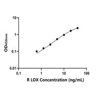 大鼠赖氨酰氧化酶(LOX)ELISA试剂盒