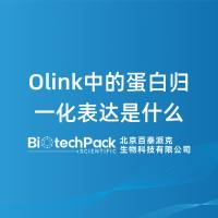 Olink中的蛋白归一化表达是什么-百泰派克生物科技