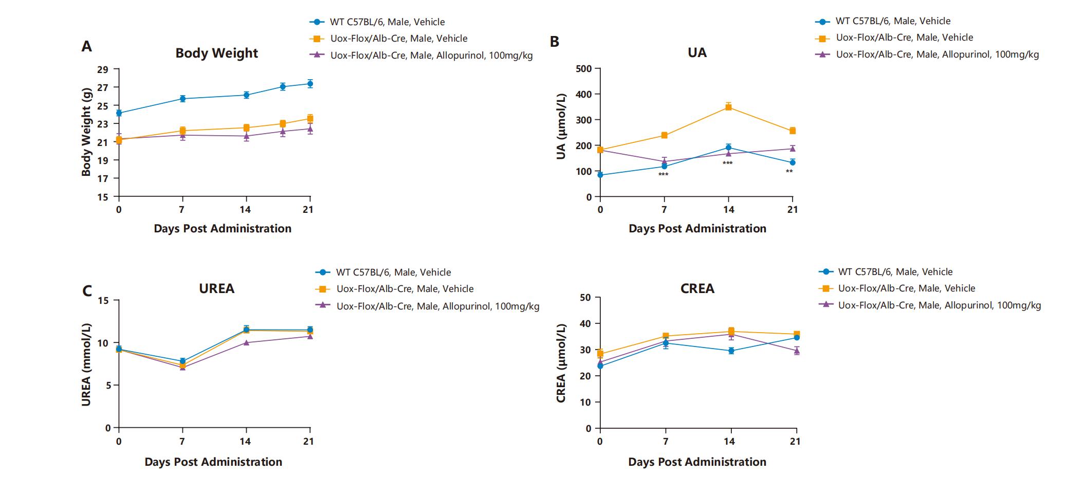 技术资料图片16