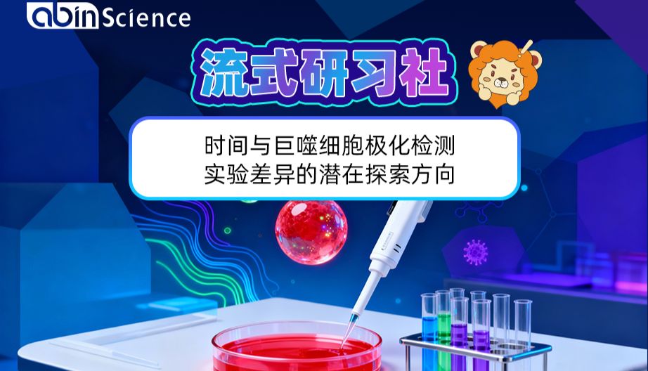 巨噬细胞功能与检测技术丨时间与巨噬细胞极化检测：实验差异的潜在探索方向