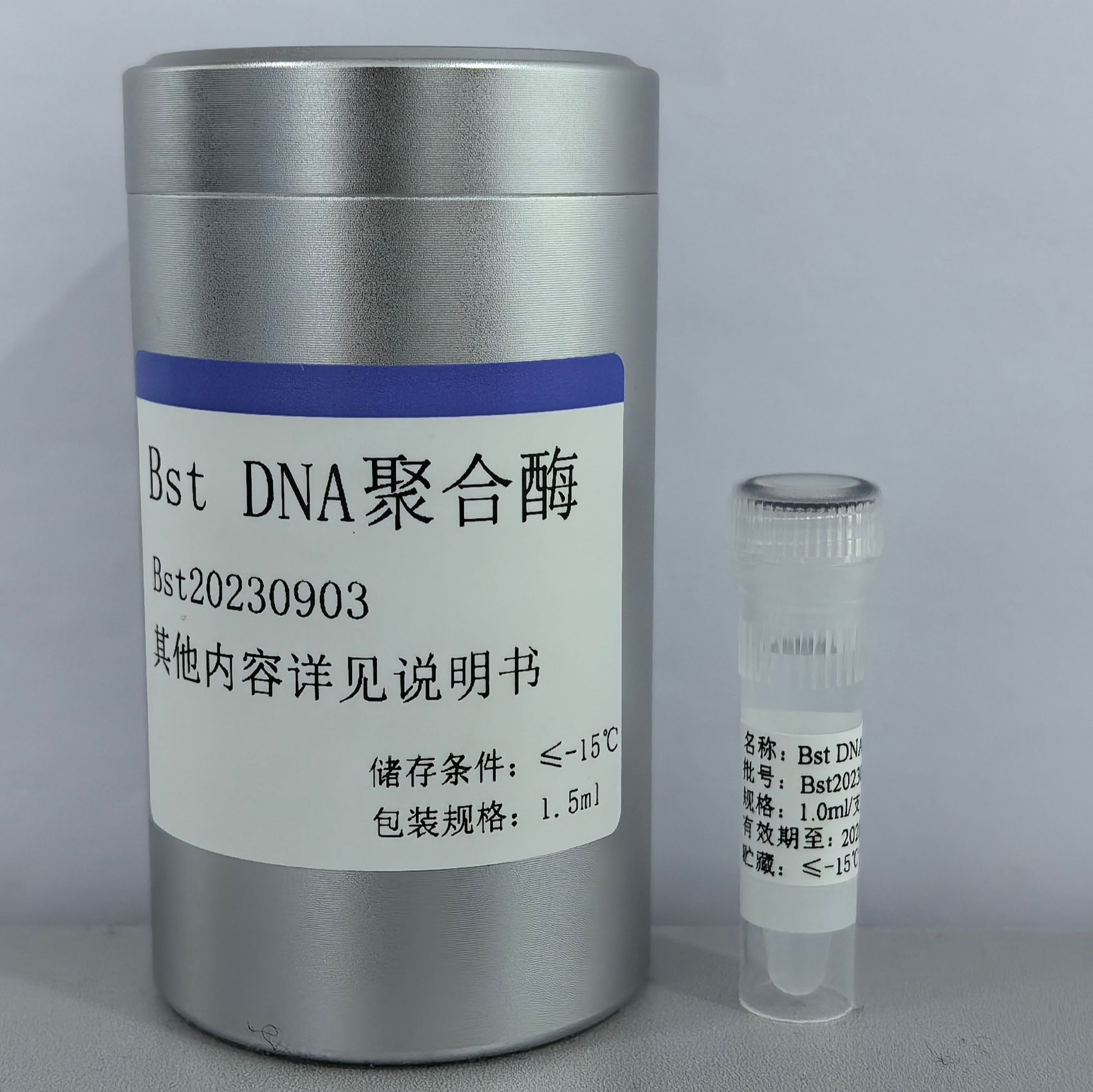 Bst DNA 聚合酶
