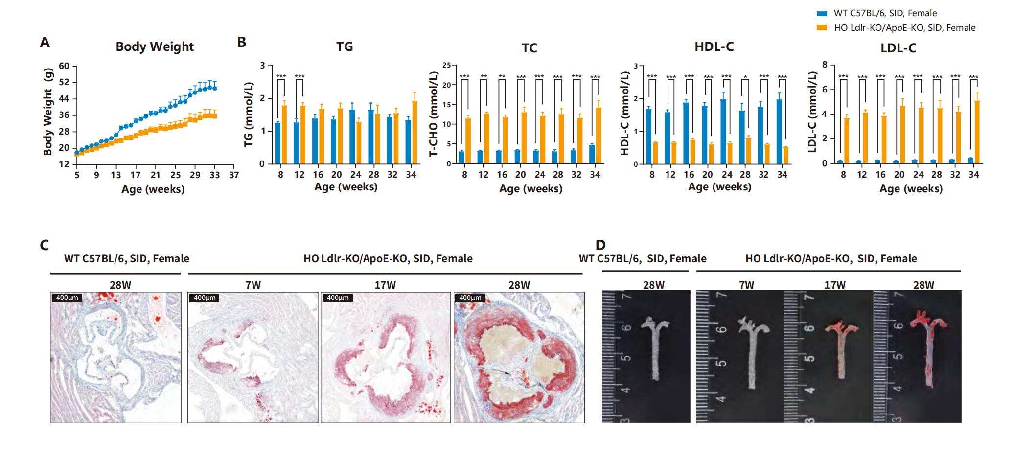 技术资料图片14