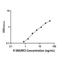 大鼠Smad特异性E3泛素蛋白连接酶2(SMURF2)ELISA试剂盒