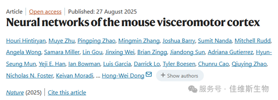 Nature | 透明化三维成像解析了小鼠内脏初级运动皮层神经网络