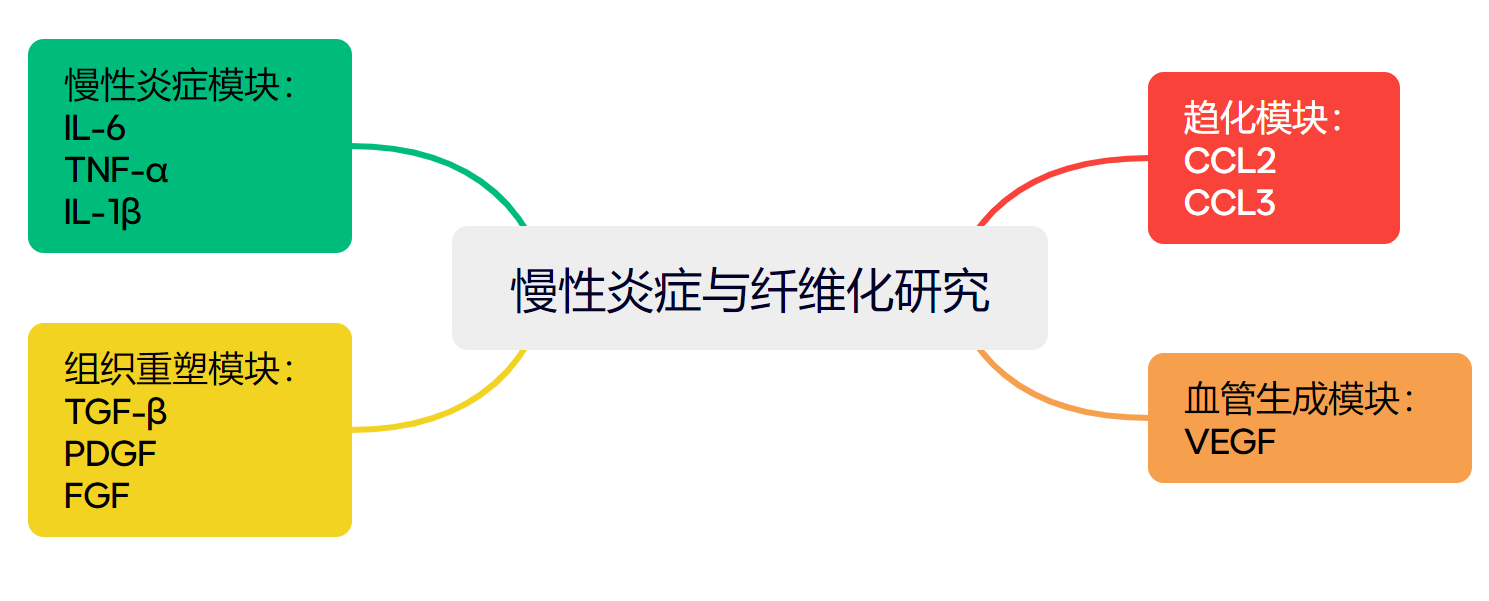新闻图片3