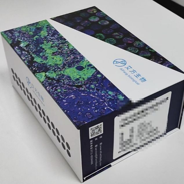 Tissue Inhibitor of Metalloproteinases 1(TIMP1)抗体试剂(免疫组织化学)