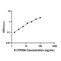 大鼠细胞色素P450家族成员2D6(CYP2D6)ELISA试剂盒