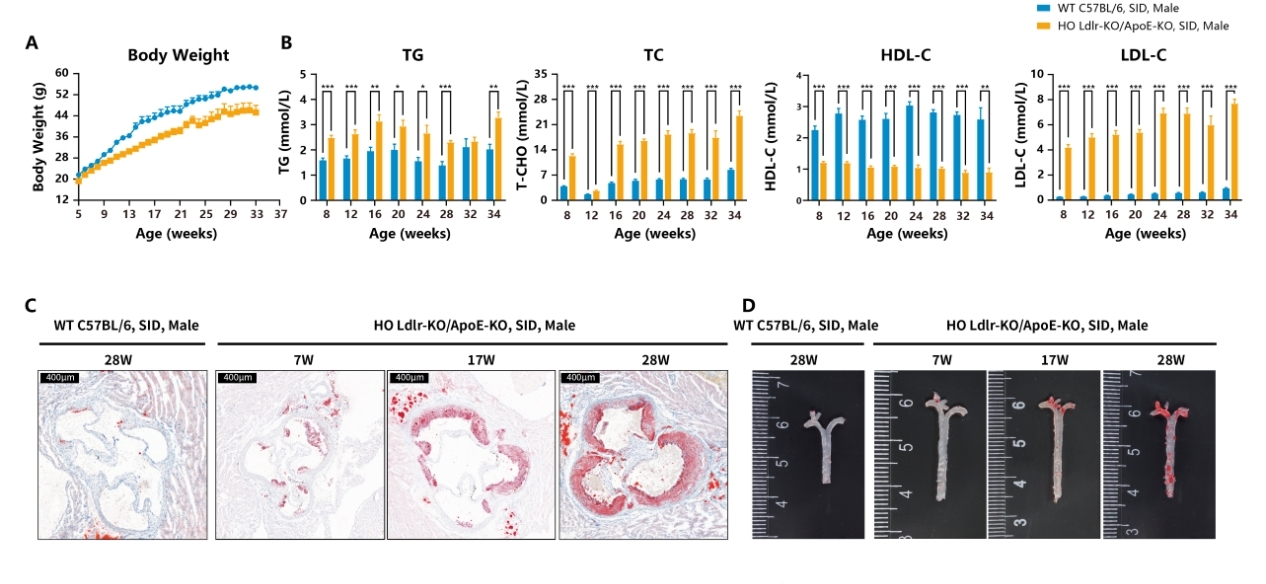 技术资料图片13