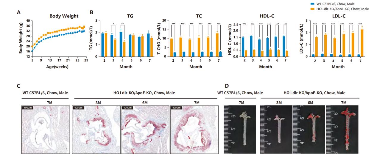 技术资料图片11