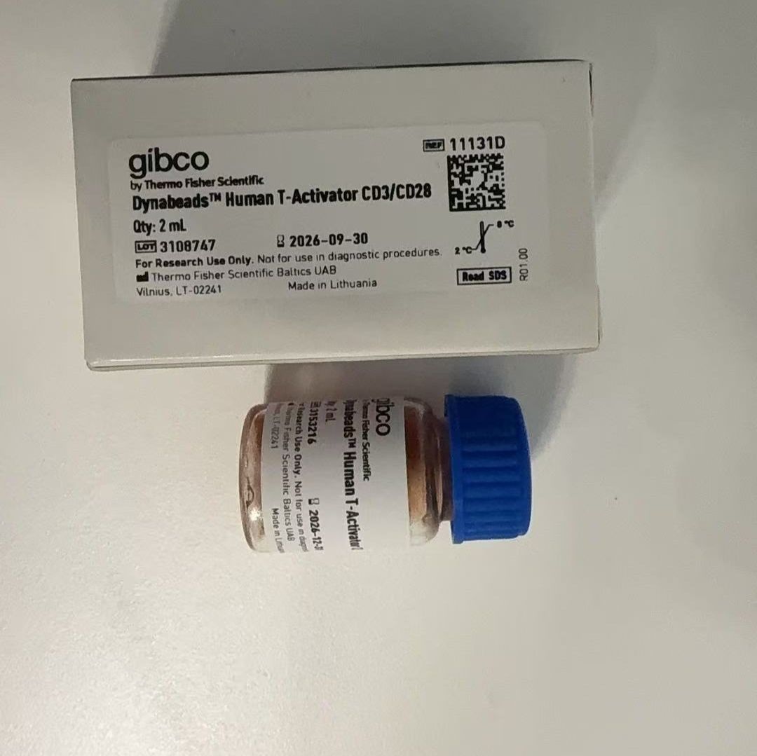 拆11452D 大包装11453D拆的 用于 T 细胞活化/扩增的 Dynabeads™ 小鼠T活化剂CD3/CD28 2ml