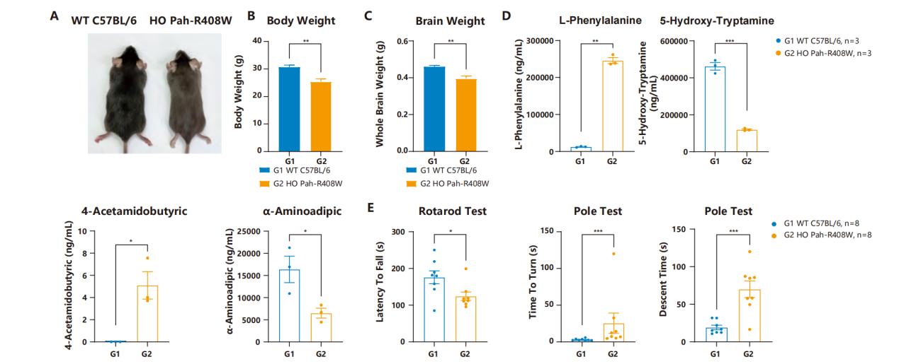 技术资料图片18
