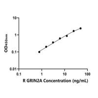 大鼠N-甲基-D-天氡氨酸离子能谷氨酸受体2A(GRIN2A)ELISA试剂盒