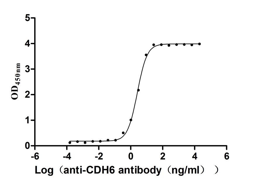 High Purity Validated of CSB-MP005055HU1