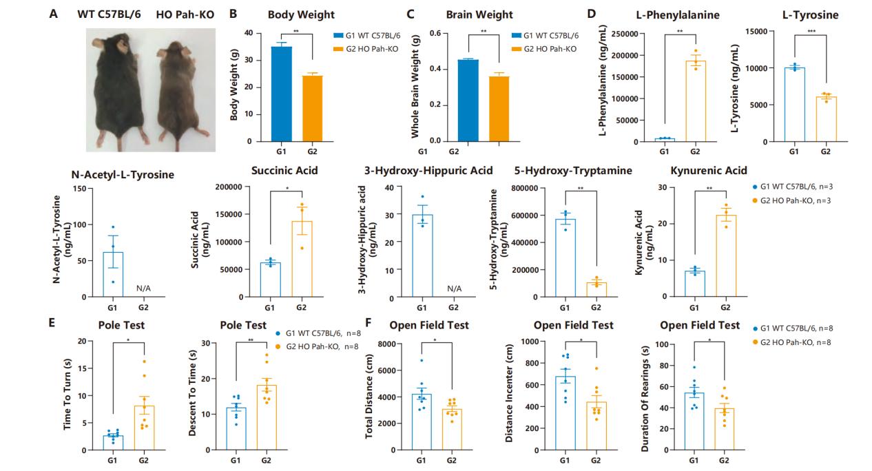 技术资料图片17