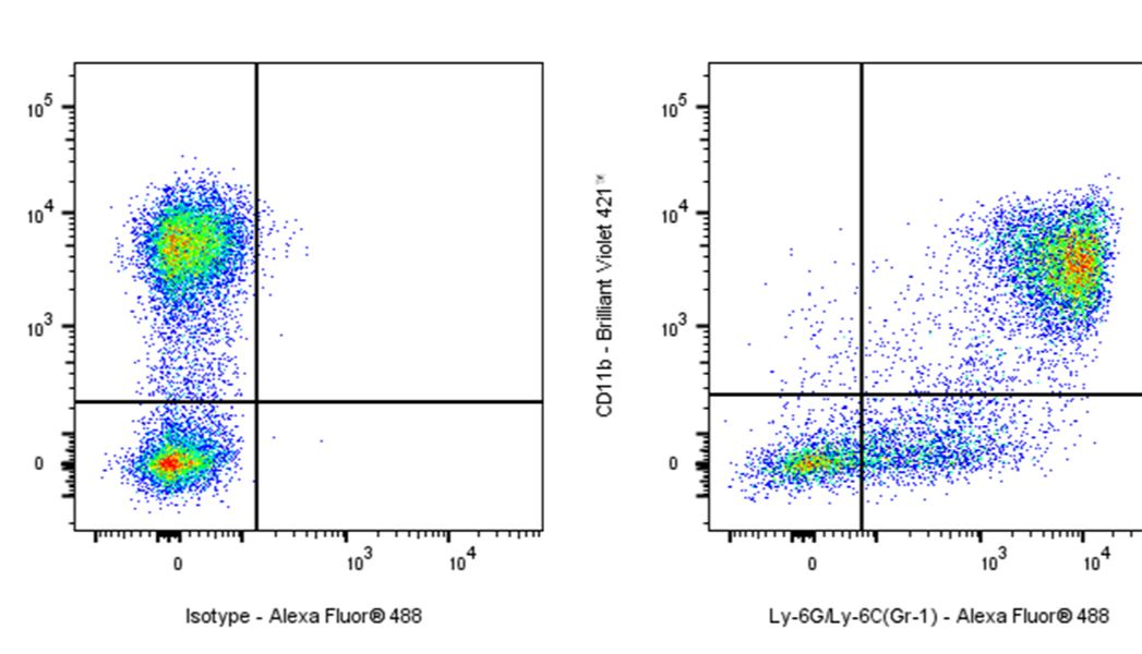 GR-1抗体如何开启免疫治疗新篇章？