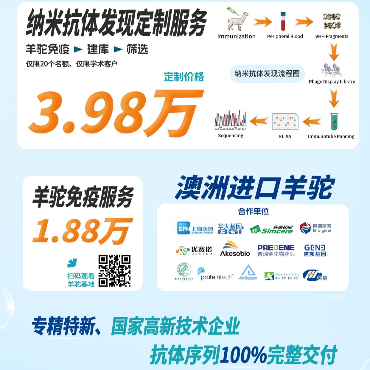 羊驼纳米抗体定制服务