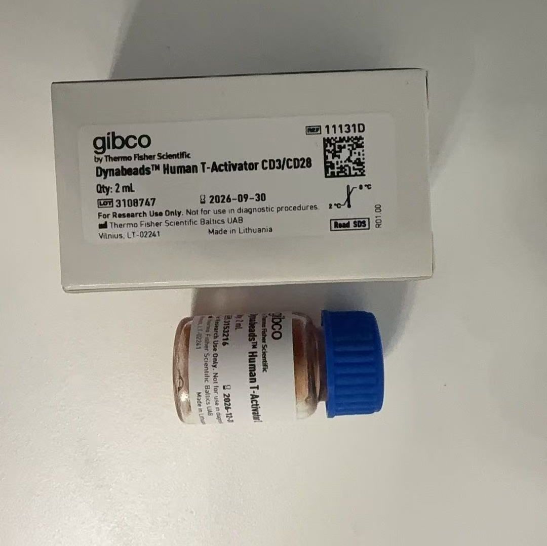 拆11131D 11132D拆的 Dynabeads™ 人 T 活化剂 CD3/CD28 2ml,玻璃瓶