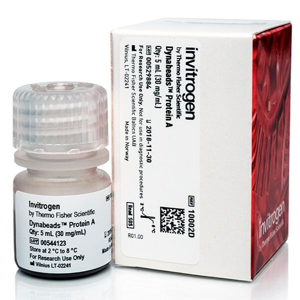 10001D/10002D/10008D 用于免疫沉淀的 Dynabeads™ 蛋白 A