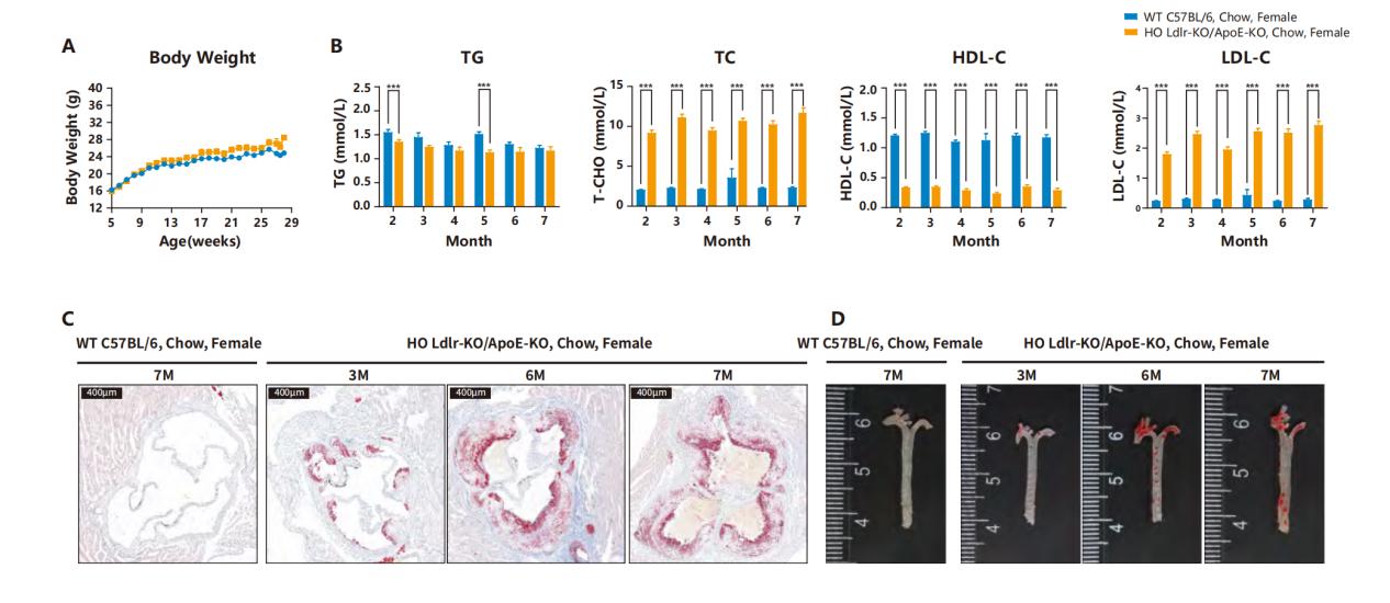技术资料图片12
