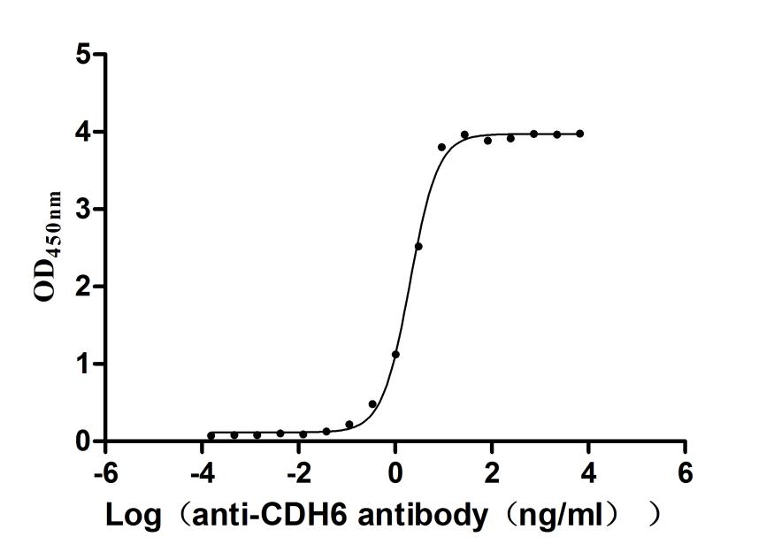 High Purity Validated of CSB-MP005055MO1