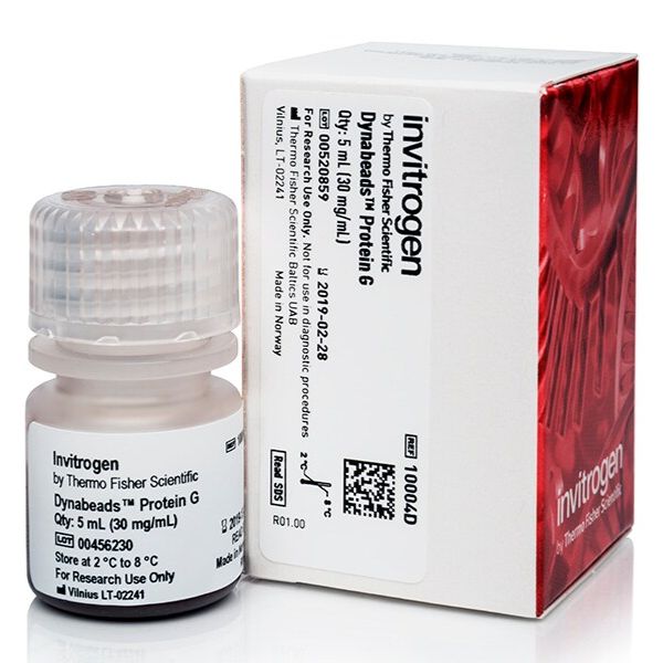 10003D/10004D/10009D 免疫沉淀的 Dynabeads™ 蛋白 G