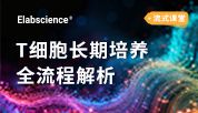 Elabscience实操攻略：人PBMCs/CD3+T/Pan Naive T细胞20天长期培养与动态分析