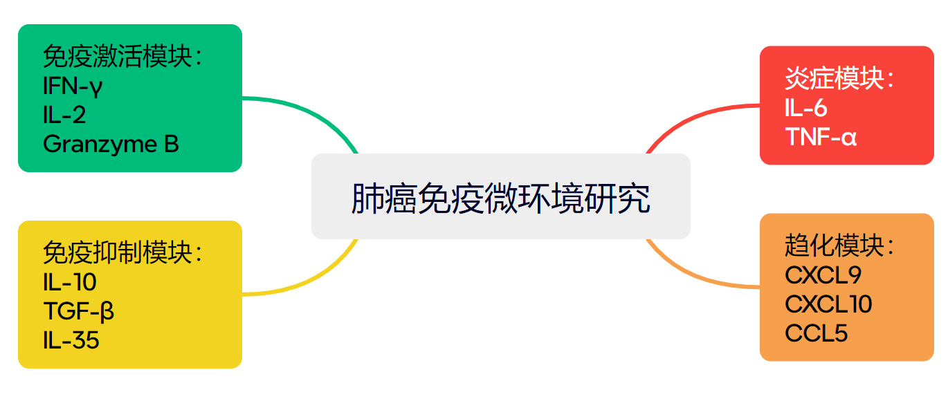 新闻图片4