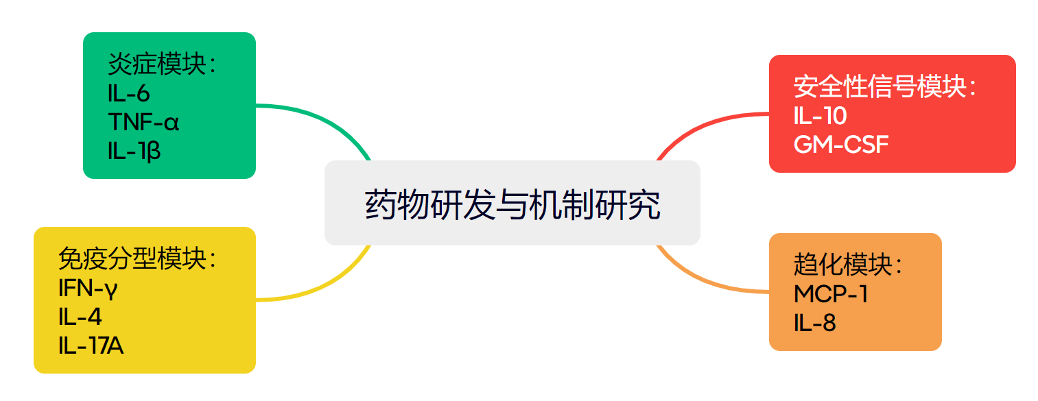 新闻图片5