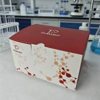 乙醇脱氢酶（ADH）测试盒（紫外分光光度法）