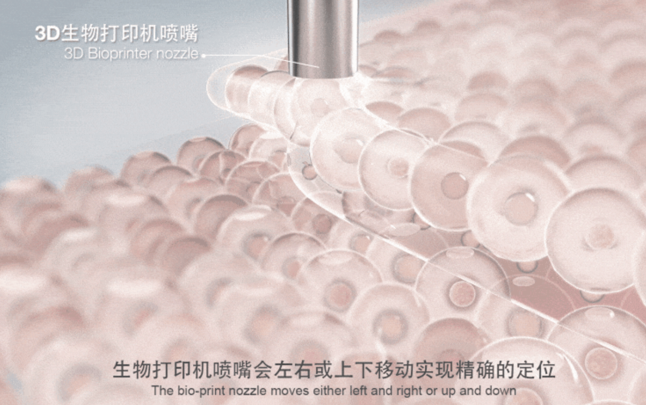 图像2026-3-17 09.42.png