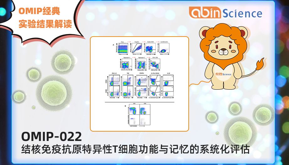 OMIP-022：结核免疫抗原特异性T细胞功能与记忆的系统化评估